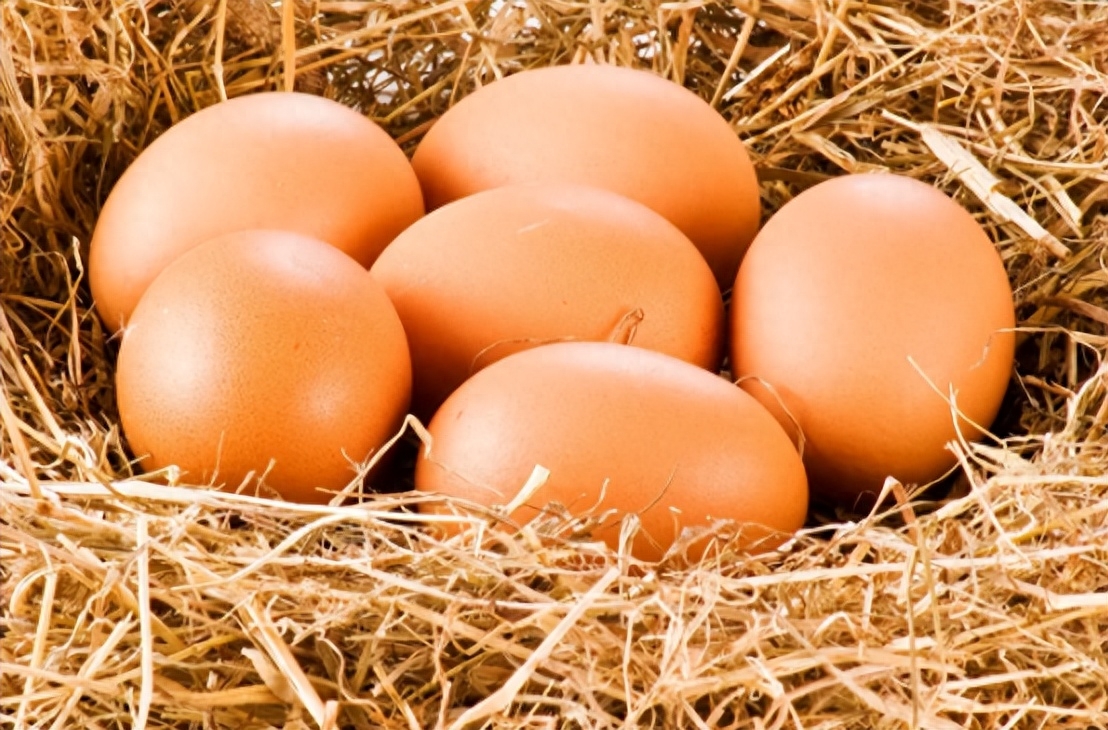 鸡蛋期货一手一个点是多少钱？_https://www.shscx.com_鸡蛋_第1张