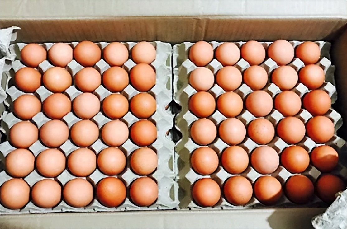 鸡蛋期货一手一个点是多少钱？_https://www.shscx.com_鸡蛋_第2张