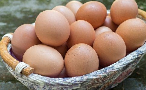 国内鸡蛋期货交易手续费怎么算_https://www.shscx.com_鸡蛋_第1张