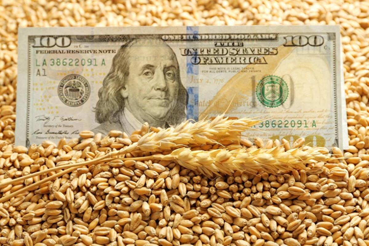 美小麦弃收率大幅飙升！美国开始罕见进口欧盟小麦，这是真急了？_https://www.shscx.com_美小麦_第2张
