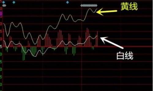 大盘白色线和黄色线(大盘白线和黄线的区别)_https://www.shscx.com_豆粕_第1张