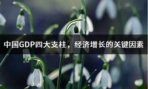 中国GDP四大支柱(中国gdp三大支柱)_https://www.shscx.com_玉米淀粉_第1张
