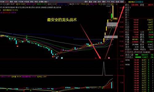 游资最爱的龙头股战法(顶级游资龙头战法)_https://www.shscx.com_豆粕_第1张