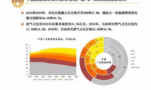 中国采掘业能源利用与低碳发展(采掘行业)_https://www.shscx.com_玉米_第1张