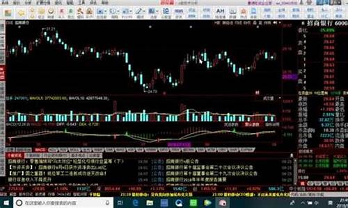 股票个股行情查询官网(股票个股走势图)_https://www.shscx.com_玉米_第1张