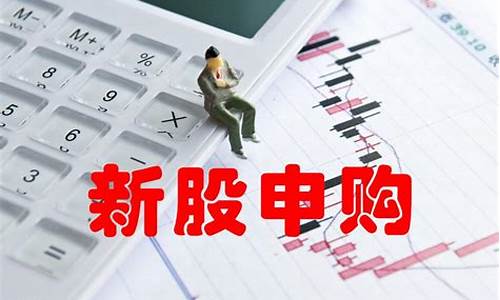 新手为什么买不了新股(为什么新股买不进去)_https://www.shscx.com_黄大豆2号_第1张