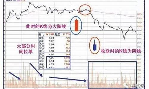 股市投资感悟(股市投资感悟视频)_https://www.shscx.com_黄大豆1号_第1张