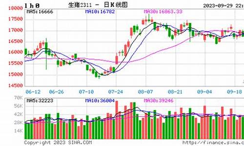猪肉期货价格走势图(猪肉期货价格走势图近3年走势图)_https://www.shscx.com_黄大豆1号_第1张