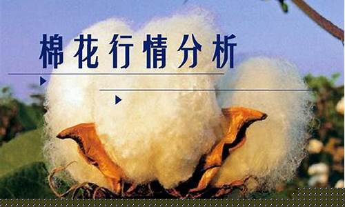棉花期货单位(棉花期货交易单位)_https://www.shscx.com_胶合板_第1张