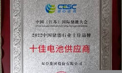 中国储能行业领军企业(储能企业龙头)_https://www.shscx.com_黄大豆1号_第1张