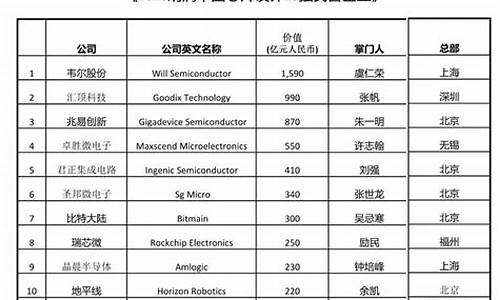 中国芯片代工企业前十强(中国大陆芯片代工企业排名)_https://www.shscx.com_玉米_第1张