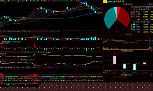 查股网实时数据(股票查询器)_https://www.shscx.com_黄大豆2号_第1张
