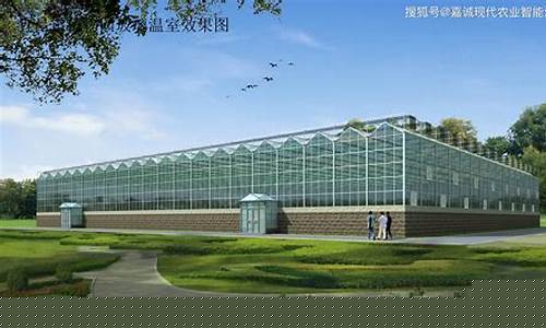 玻璃温室大棚材料(玻璃温室大棚造价明细)_https://www.shscx.com_黄大豆2号_第1张