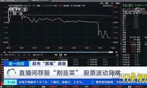 股市直播间授(股票直播室)_https://www.shscx.com_玉米_第1张