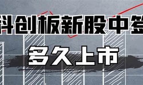 新股科创板中签多少股(新股科创板中签多少股合适)_https://www.shscx.com_大商所_第1张