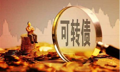 可转股债权投资什么意思(可转债股权是什么意思)_https://www.shscx.com_黄大豆1号_第1张