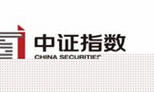 中证指数官网直接查询的查询方法(中证指数官网查询)_https://www.shscx.com_黄大豆2号_第1张