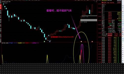 妖股都有哪些(妖股有哪些特征)_https://www.shscx.com_大商所_第1张