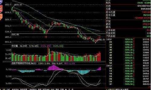 股票诊股免费(免费诊股软件下载)_https://www.shscx.com_玉米淀粉_第1张