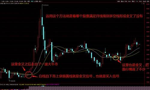 基本面八个选股指标公式(选股基本面分析视频)_https://www.shscx.com_玉米淀粉_第1张