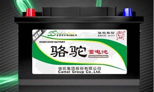 国产蓄电池十大名牌(国内汽车蓄电池十大名牌)_https://www.shscx.com_大商所_第1张