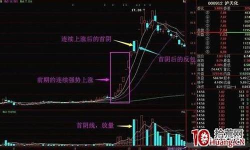 强势股首阴战法的定义(强势股第二波战法)_https://www.shscx.com_玉米淀粉_第1张