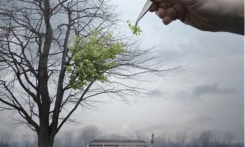 吸引人的股票广告(有吸引力股票广告语)_https://www.shscx.com_玉米淀粉_第1张