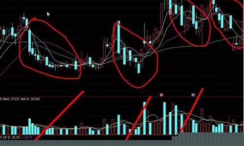 新手炒股怎么入门那些代号不能买(炒股新手小白)_https://www.shscx.com_黄大豆2号_第1张