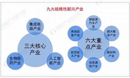 上海产业调整政策最新(养老行业最新政策)_https://www.shscx.com_黄大豆2号_第1张