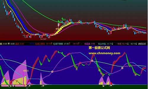 浙江经视股市直播室时间(浙江经视股市直播室时间几点开始)_https://www.shscx.com_黄大豆1号_第1张