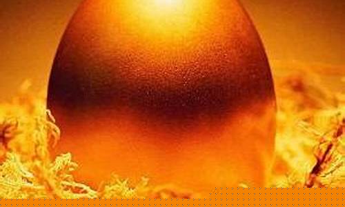 高手股市直播(股市直播在线)_https://www.shscx.com_玉米淀粉_第1张