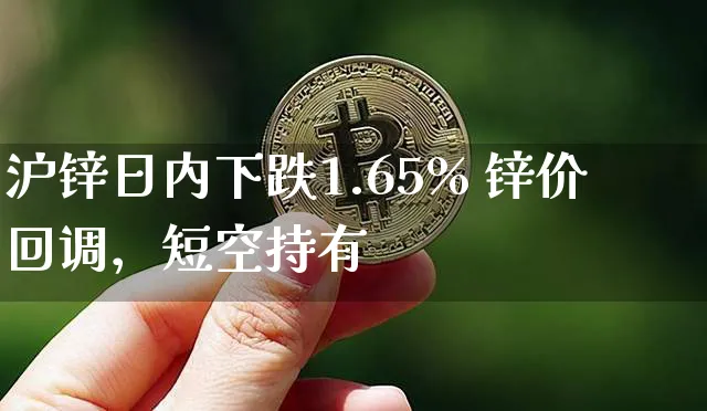 沪锌日内下跌1.65% 锌价回调，短空持有_https://www.shscx.com_沪锌_第1张